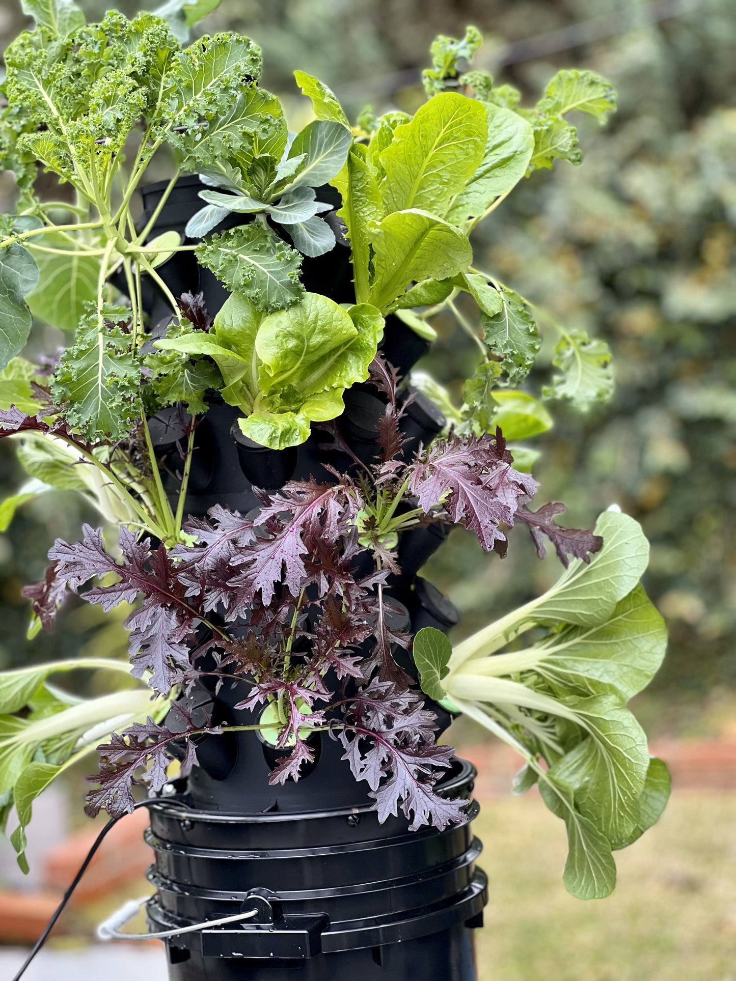 54 pod Aeroponic garden system