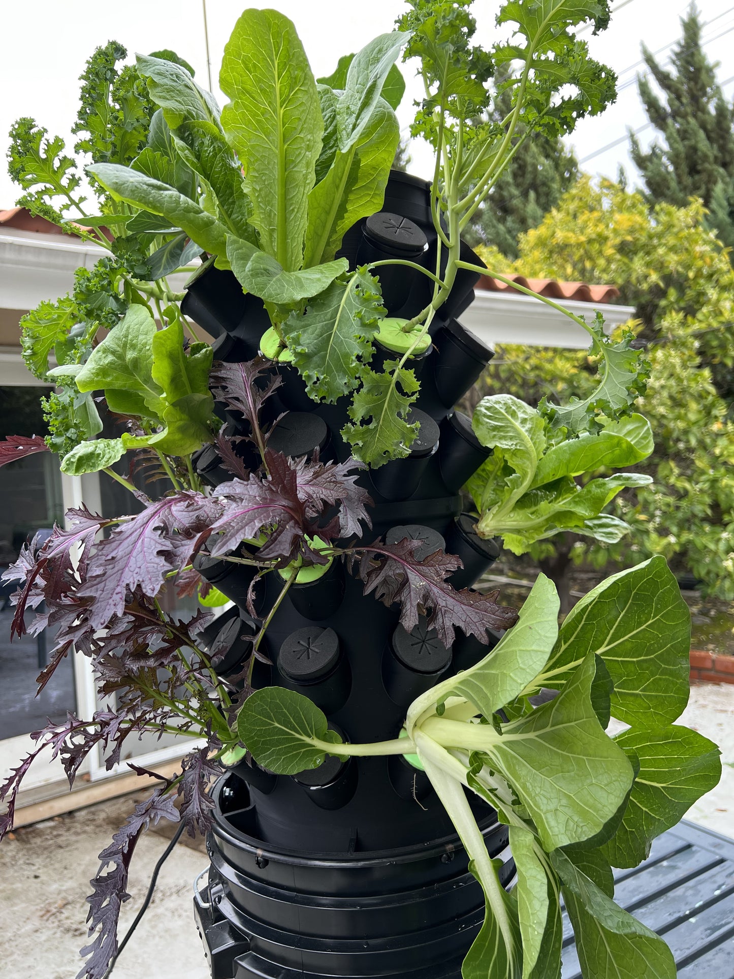 54 pod Aeroponic garden system