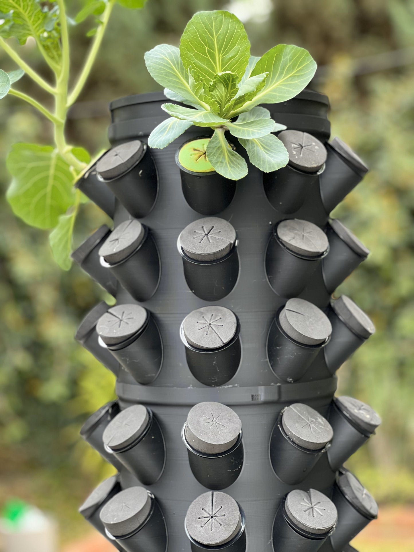 54 pod Aeroponic garden system
